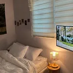 Cozy House